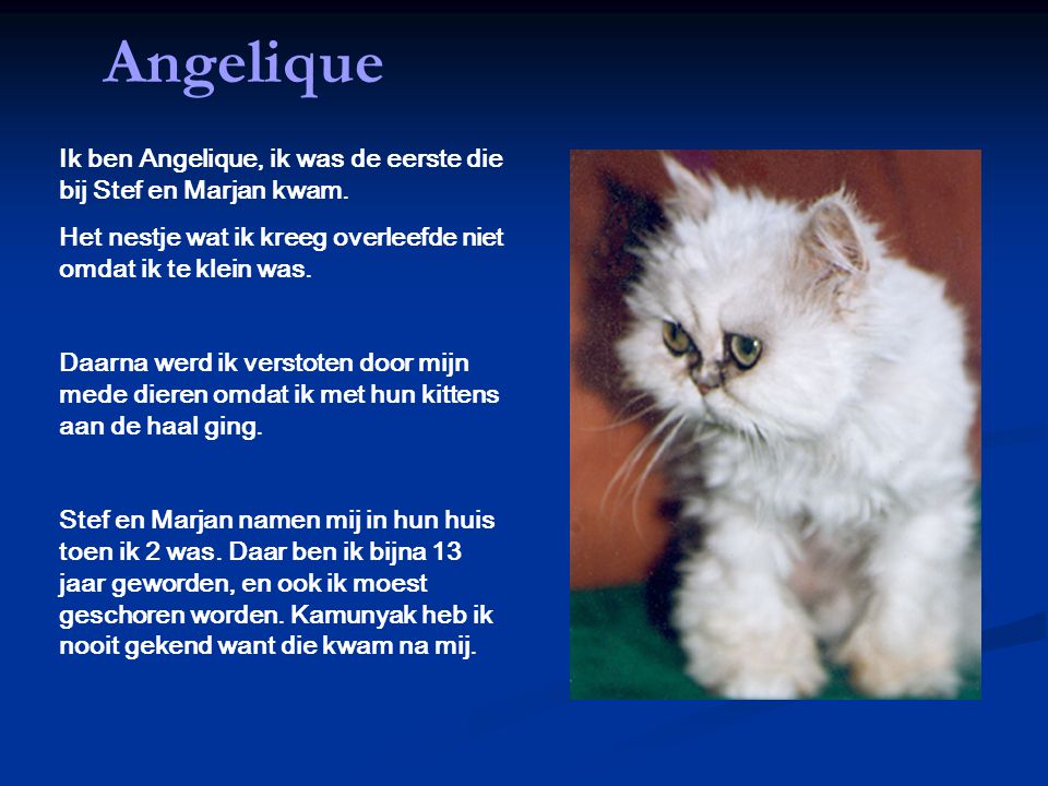 Angelique Ik ben Angelique, ik was de eerste die bij Stef en Marjan kwam. Het nestje wat ik kreeg overleefde niet omdat ik te klein was.