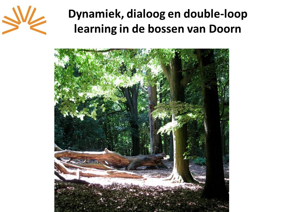 Dynamiek, dialoog en double-loop learning in de bossen van Doorn