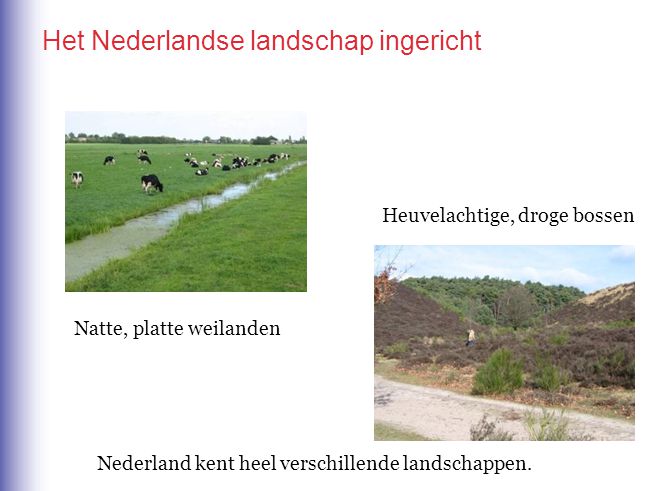 Het Nederlandse landschap ingericht