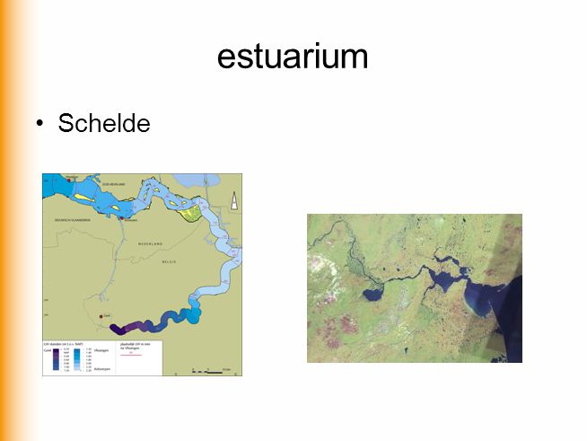 estuarium Schelde