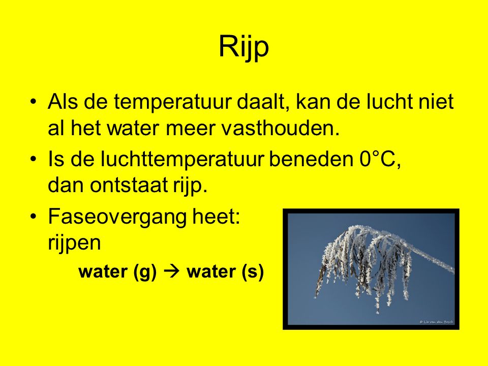 Rijp Als de temperatuur daalt, kan de lucht niet al het water meer vasthouden. Is de luchttemperatuur beneden 0°C, dan ontstaat rijp.