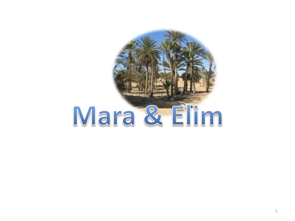 Mara & Elim