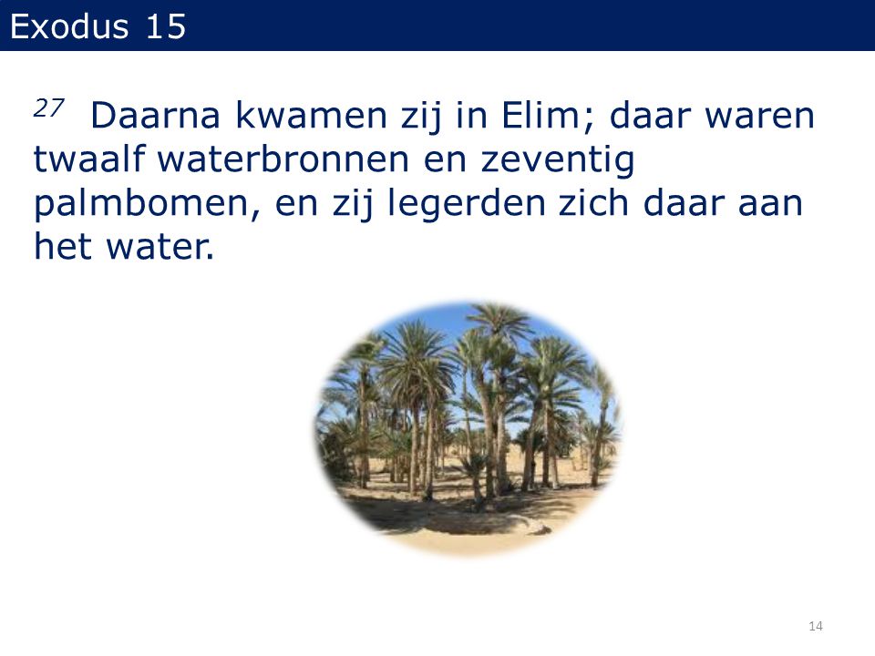 Exodus Daarna kwamen zij in Elim; daar waren twaalf waterbronnen en zeventig palmbomen, en zij legerden zich daar aan het water.