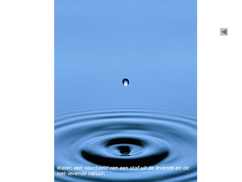 Water, een voorbeeld van een stof uit de levende en de niet-levende natuur.