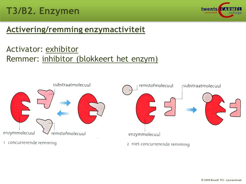 T3/B2. Enzymen Activering/remming enzymactiviteit Activator: exhibitor