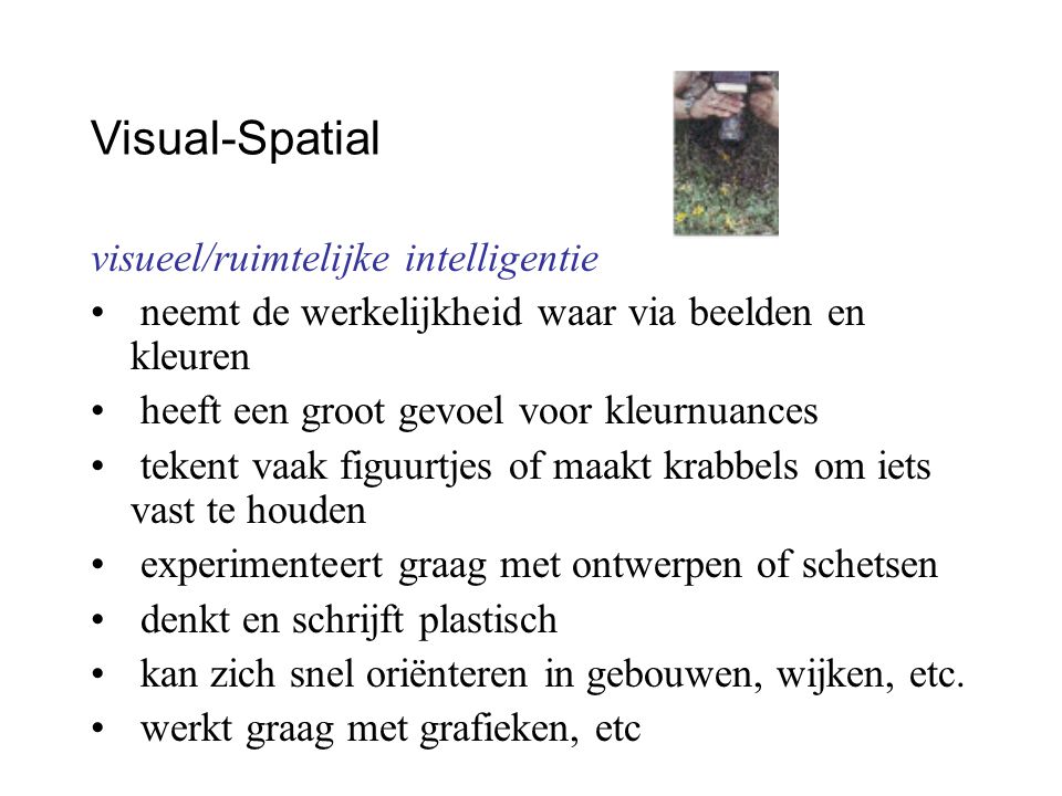 Visual-Spatial visueel/ruimtelijke intelligentie