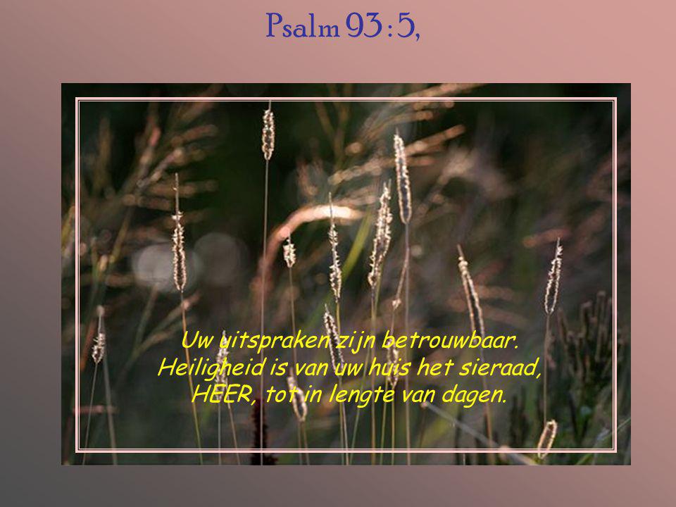 Psalm 93 : 5, Uw uitspraken zijn betrouwbaar.