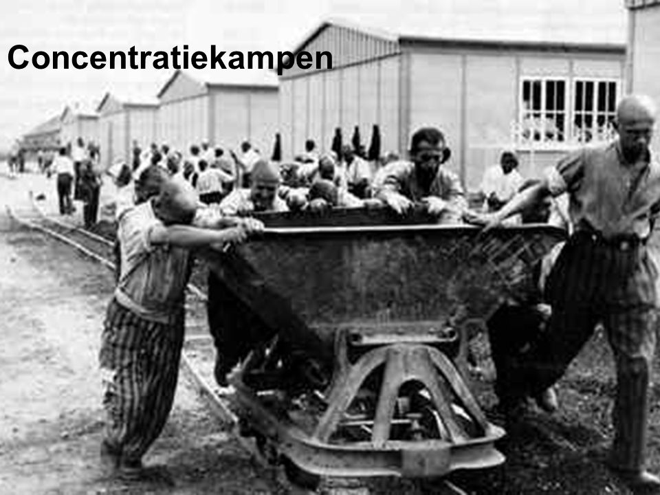 Concentratiekampen