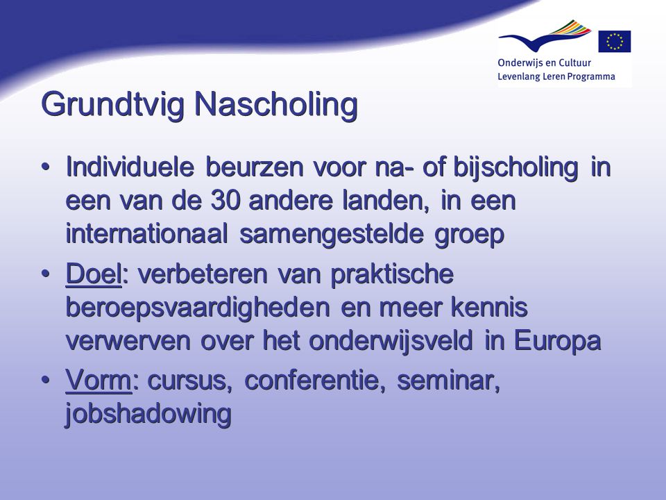 Grundtvig Nascholing. Individuele beurzen voor na- of bijscholing in een van de 30 andere landen, in een internationaal samengestelde groep.