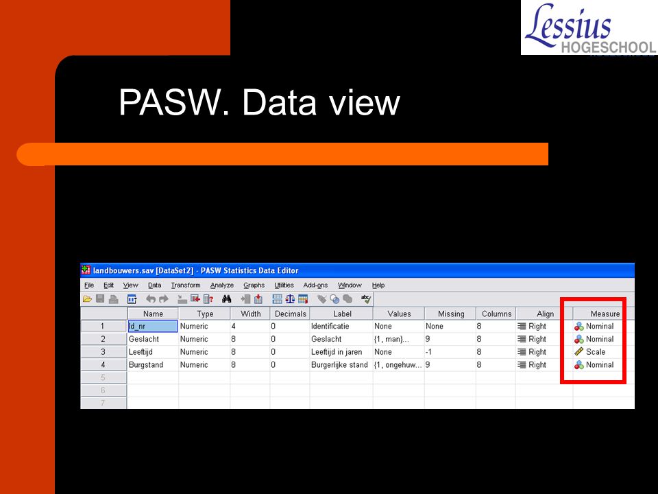 PASW. Data view