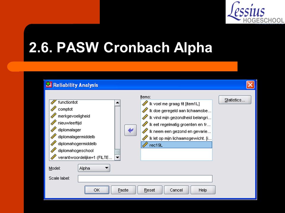 2.6. PASW Cronbach Alpha
