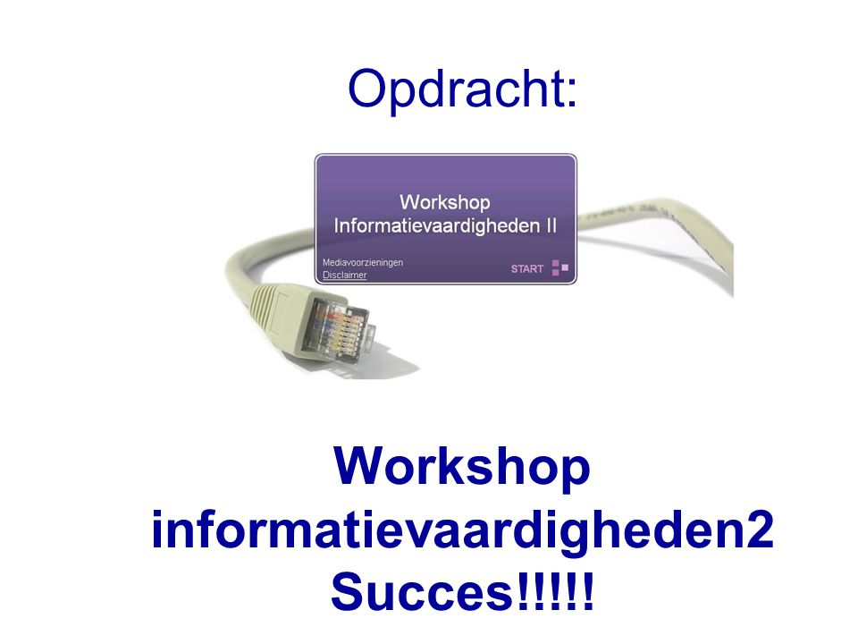 Workshop informatievaardigheden2