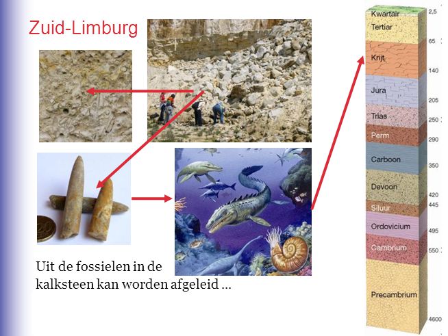 Zuid-Limburg Uit de fossielen in de kalksteen kan worden afgeleid ...