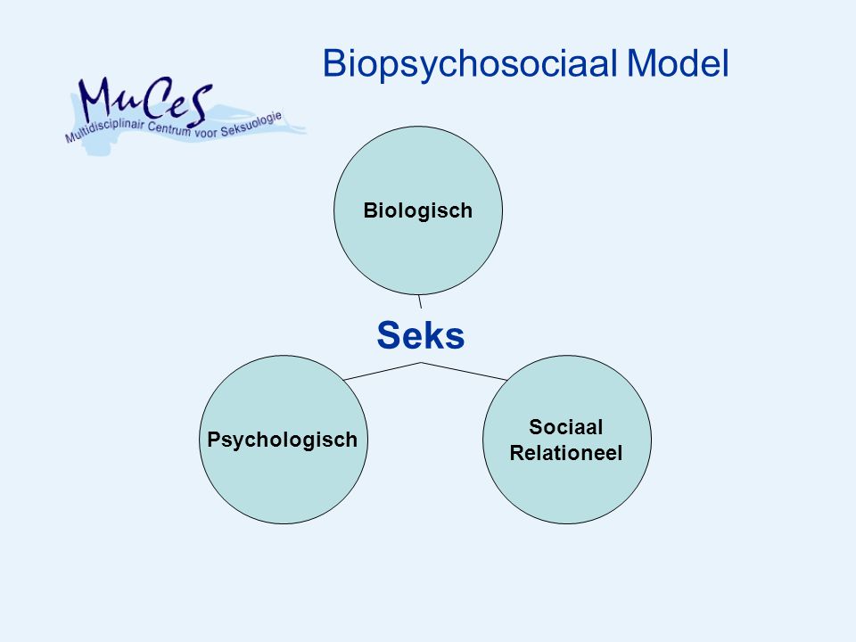 Biopsychosociaal Model