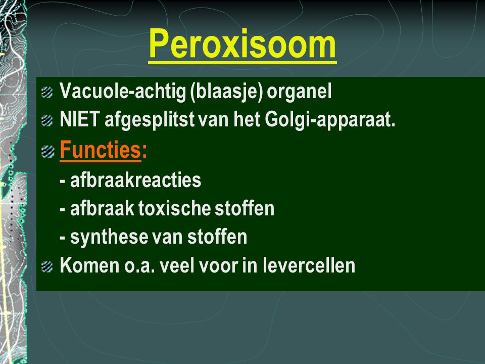 Peroxisoom Functies: Vacuole-achtig (blaasje) organel