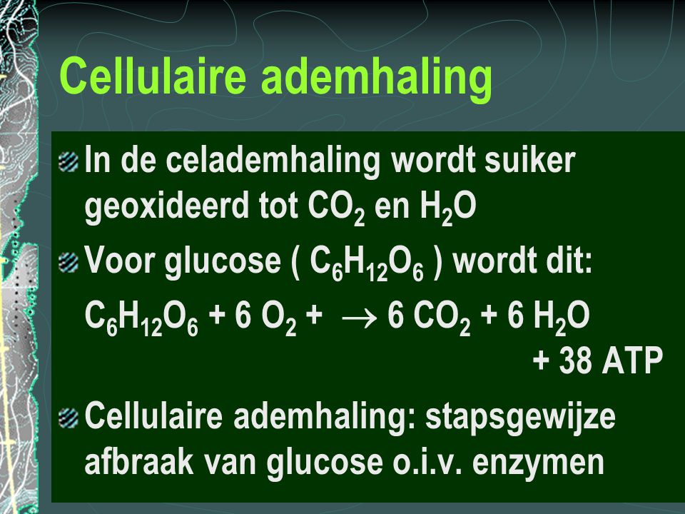 Cellulaire ademhaling