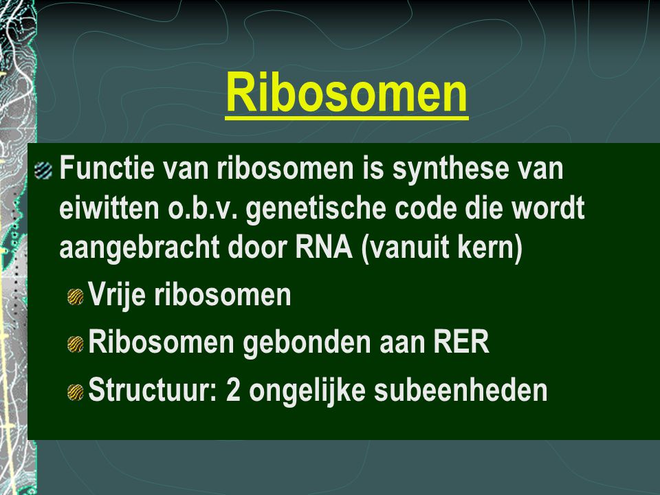 Ribosomen Functie van ribosomen is synthese van eiwitten o.b.v. genetische code die wordt aangebracht door RNA (vanuit kern)