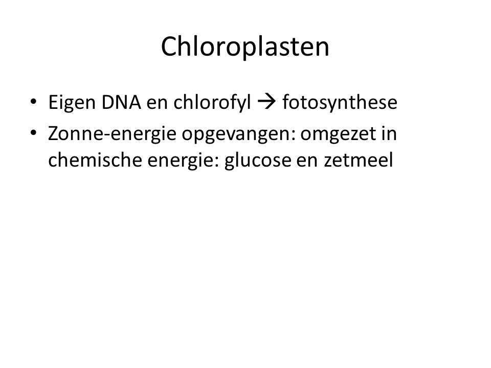 Chloroplasten Eigen DNA en chlorofyl  fotosynthese