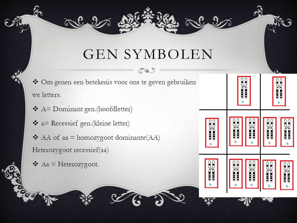 Gen symbolen Om genen een betekenis voor ons te geven gebruiken we letters. A= Dominant gen.(hoofdletter)