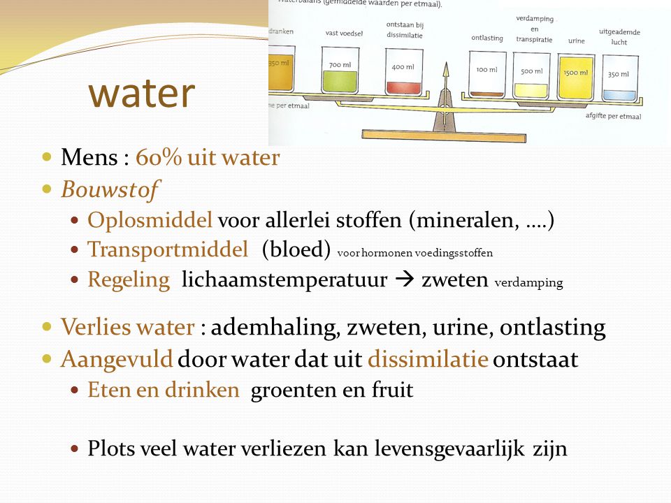 water Mens : 60% uit water Bouwstof