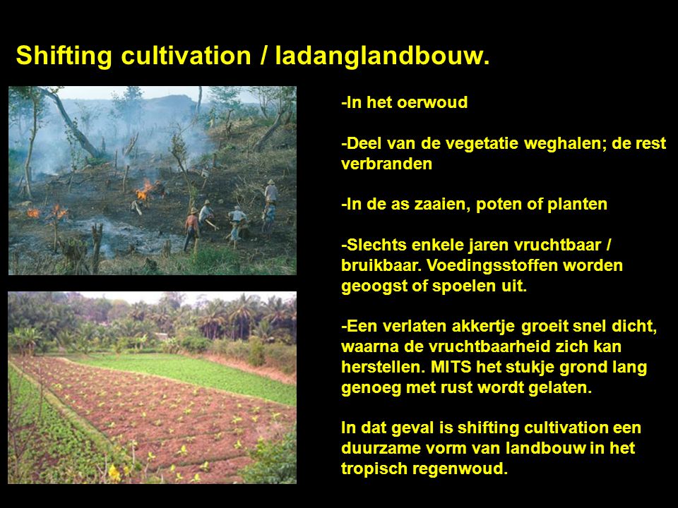 Shifting cultivation / ladanglandbouw.