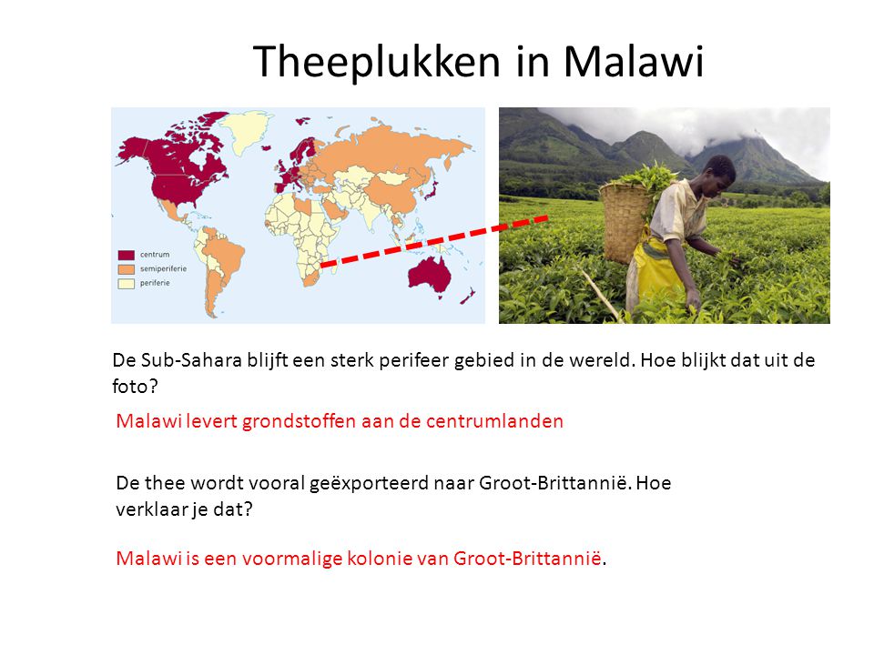Theeplukken in Malawi De Sub-Sahara blijft een sterk perifeer gebied in de wereld. Hoe blijkt dat uit de foto