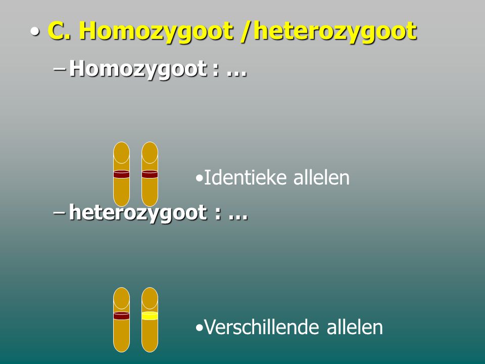 C. Homozygoot /heterozygoot