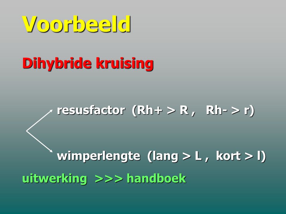 Voorbeeld Dihybride kruising resusfactor (Rh+ > R , Rh- > r)