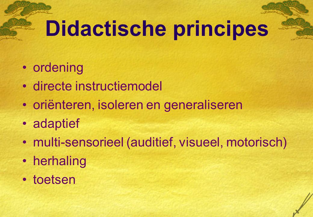 Didactische principes