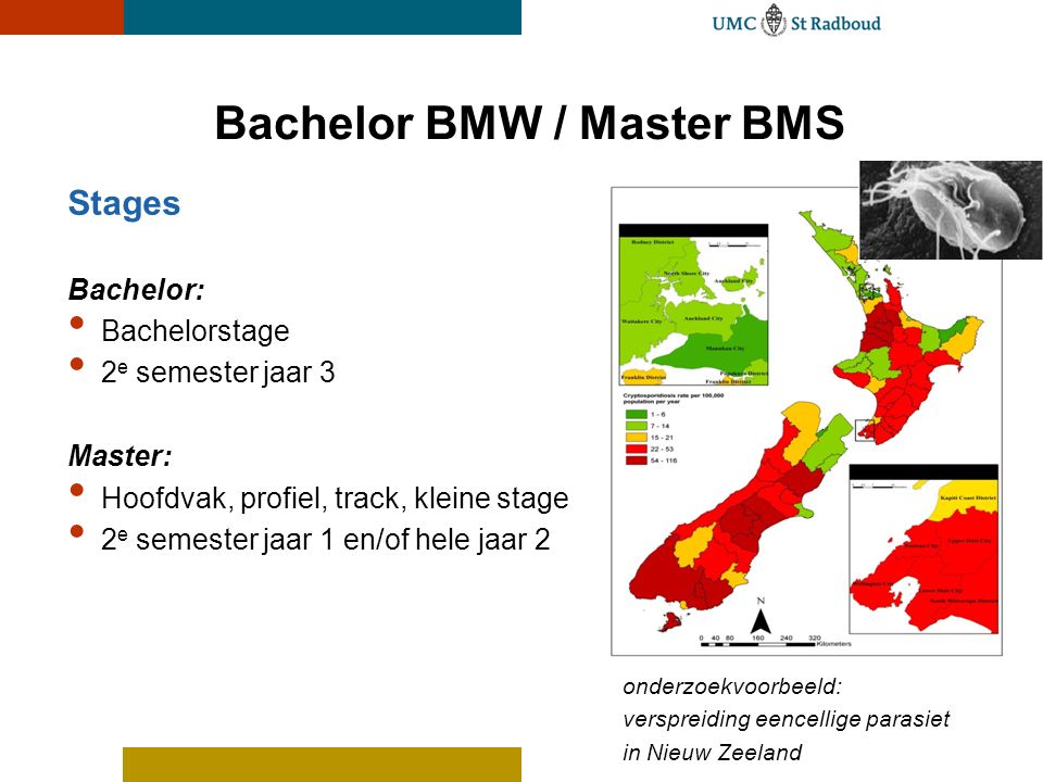 Bachelor BMW / Master BMS