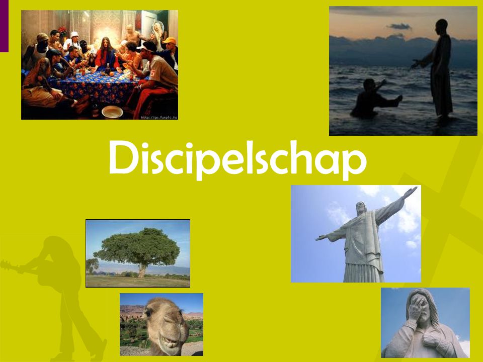 Discipelschap