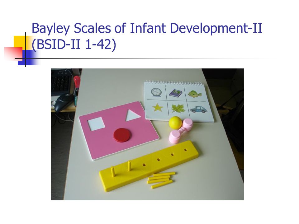Bayley Scales of Infant Development-II (BSID-II 1-42)