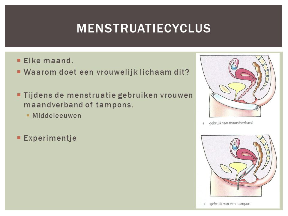 Menstruatiecyclus Elke maand. Waarom doet een vrouwelijk lichaam dit