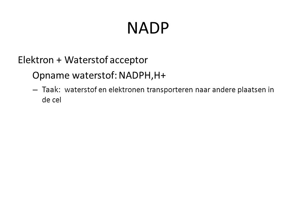 NADP Elektron + Waterstof acceptor Opname waterstof: NADPH,H+