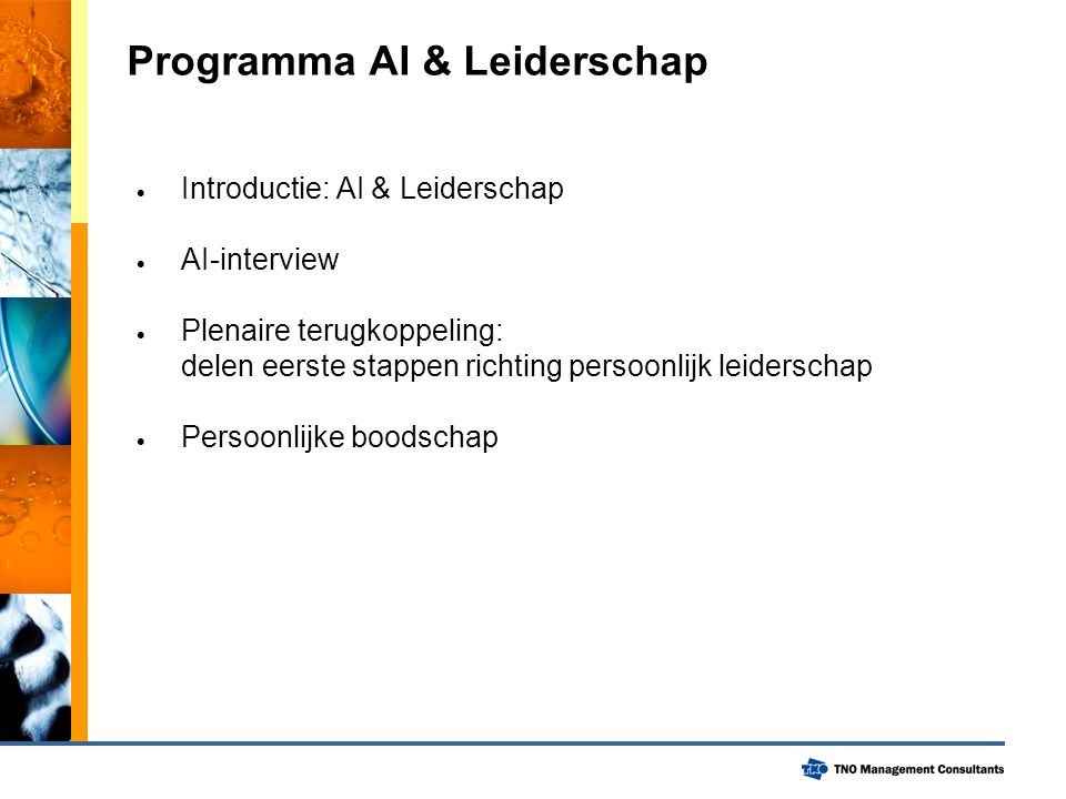 Programma AI & Leiderschap
