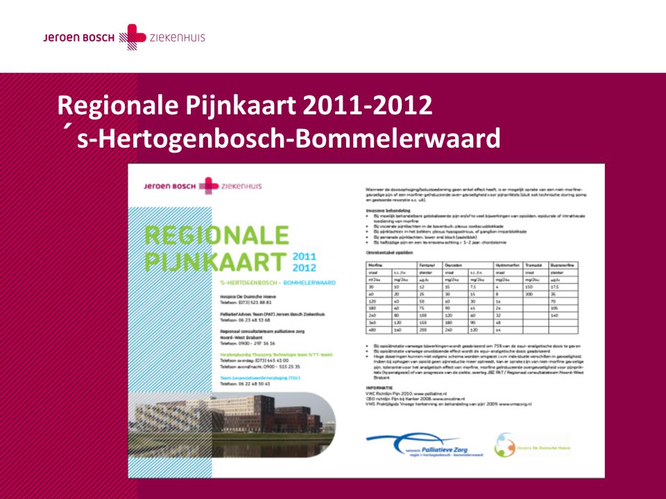 Regionale Pijnkaart ´s-Hertogenbosch-Bommelerwaard