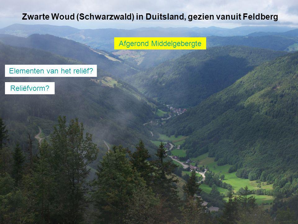 Zwarte Woud (Schwarzwald) in Duitsland, gezien vanuit Feldberg