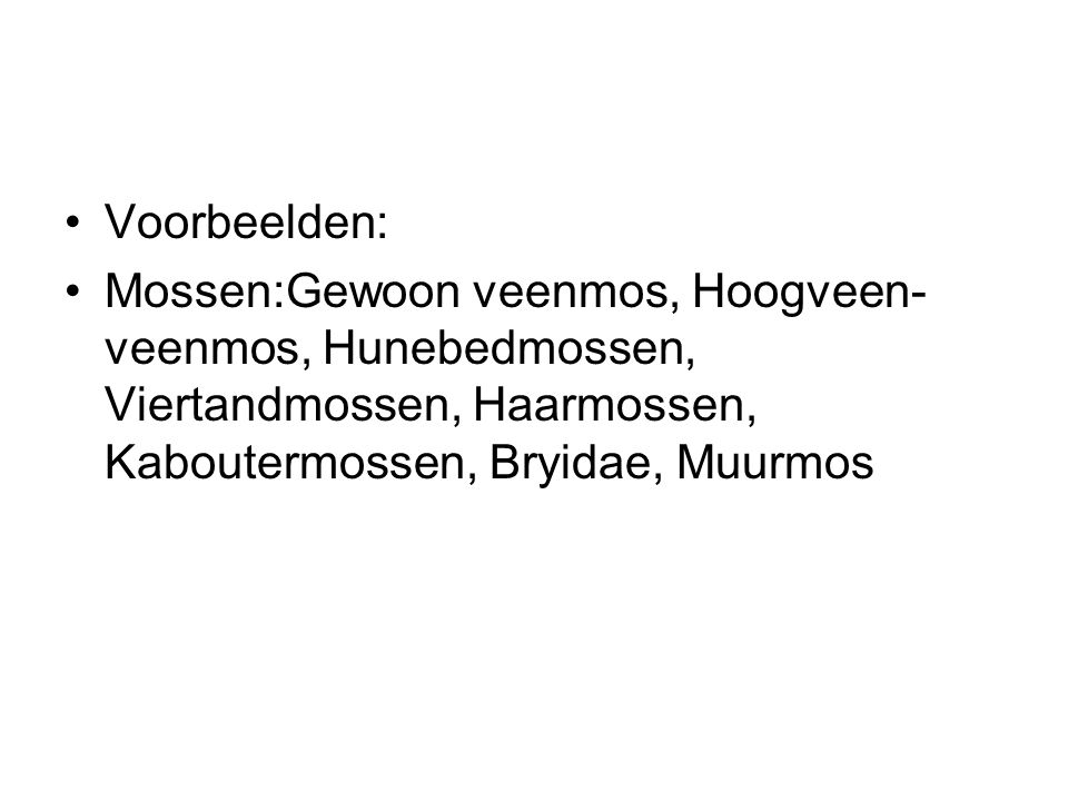 Voorbeelden: Mossen:Gewoon veenmos, Hoogveen-veenmos, Hunebedmossen, Viertandmossen, Haarmossen, Kaboutermossen, Bryidae, Muurmos.
