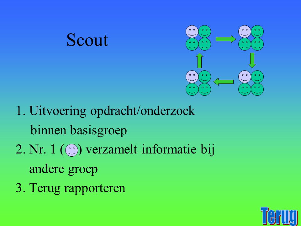 Scout Terug 1. Uitvoering opdracht/onderzoek binnen basisgroep