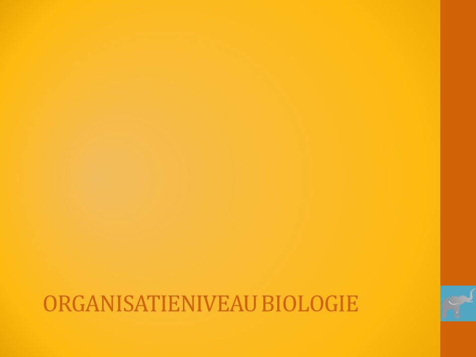 Organisatieniveau biologie