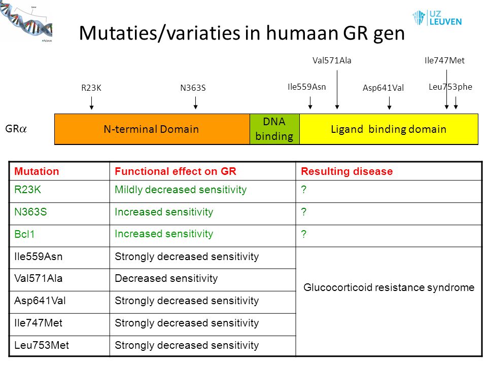 Mutaties/variaties in humaan GR gen