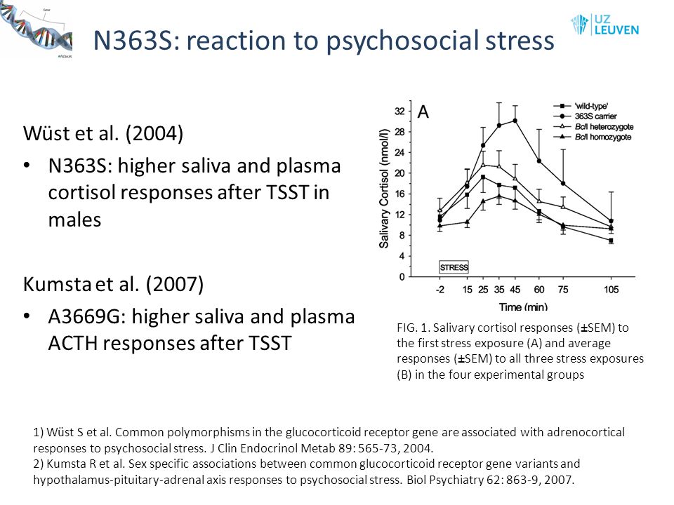 N363S: reaction to psychosocial stress