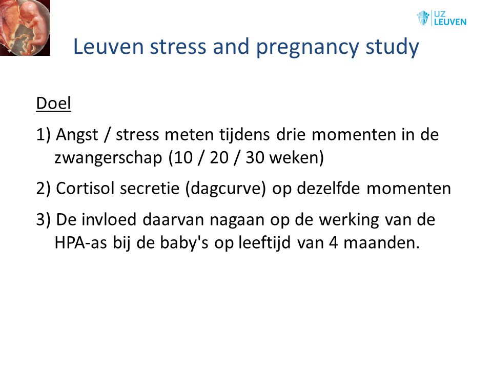 Leuven stress and pregnancy study