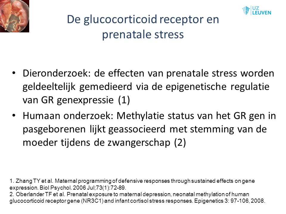 De glucocorticoid receptor en prenatale stress