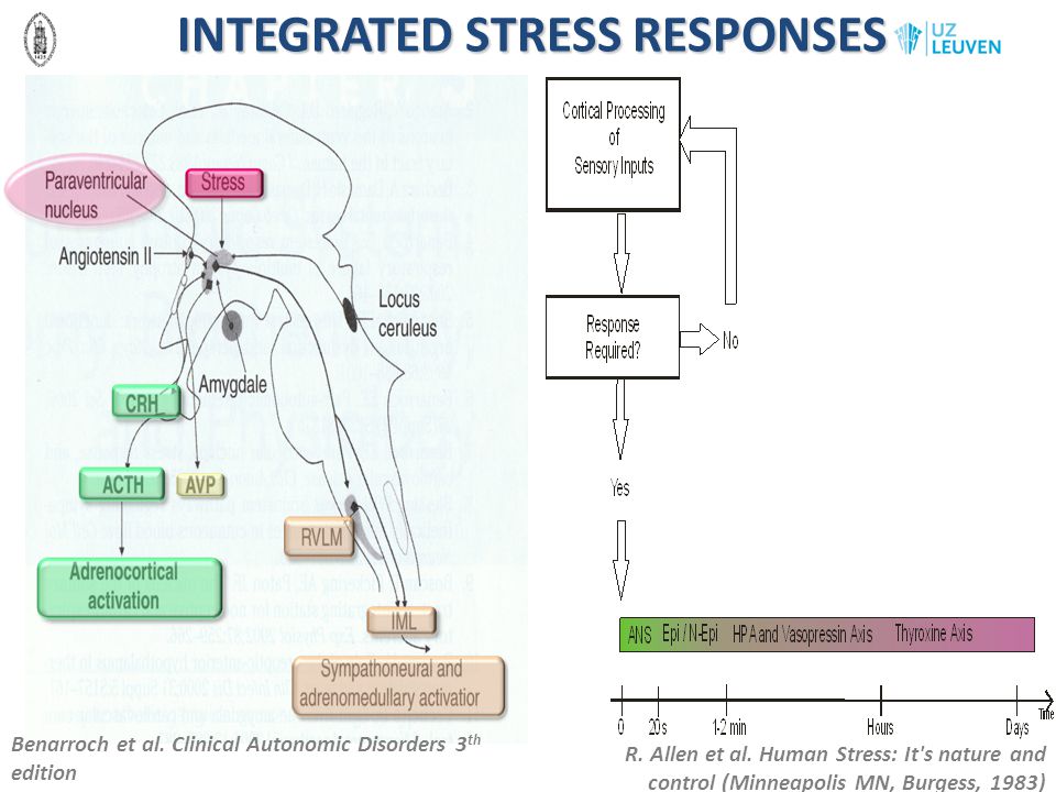 INTEGRATED STRESS RESPONSES
