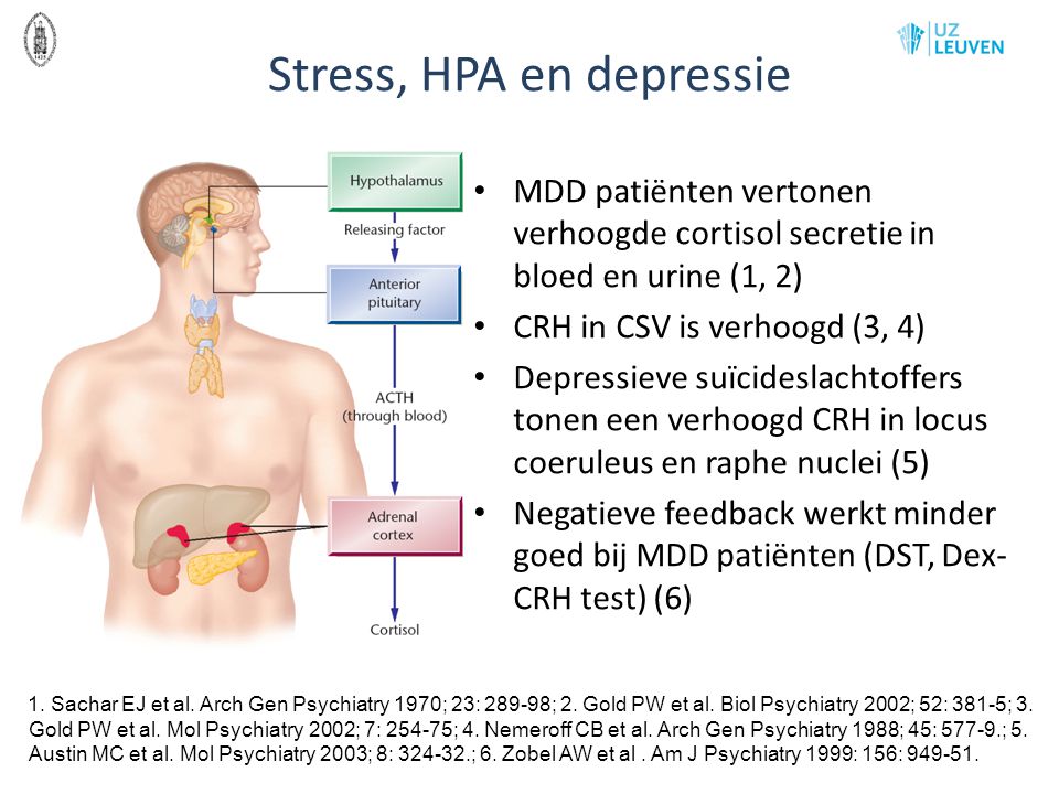 Stress, HPA en depressie