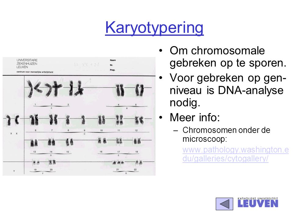 Karyotypering Om chromosomale gebreken op te sporen.