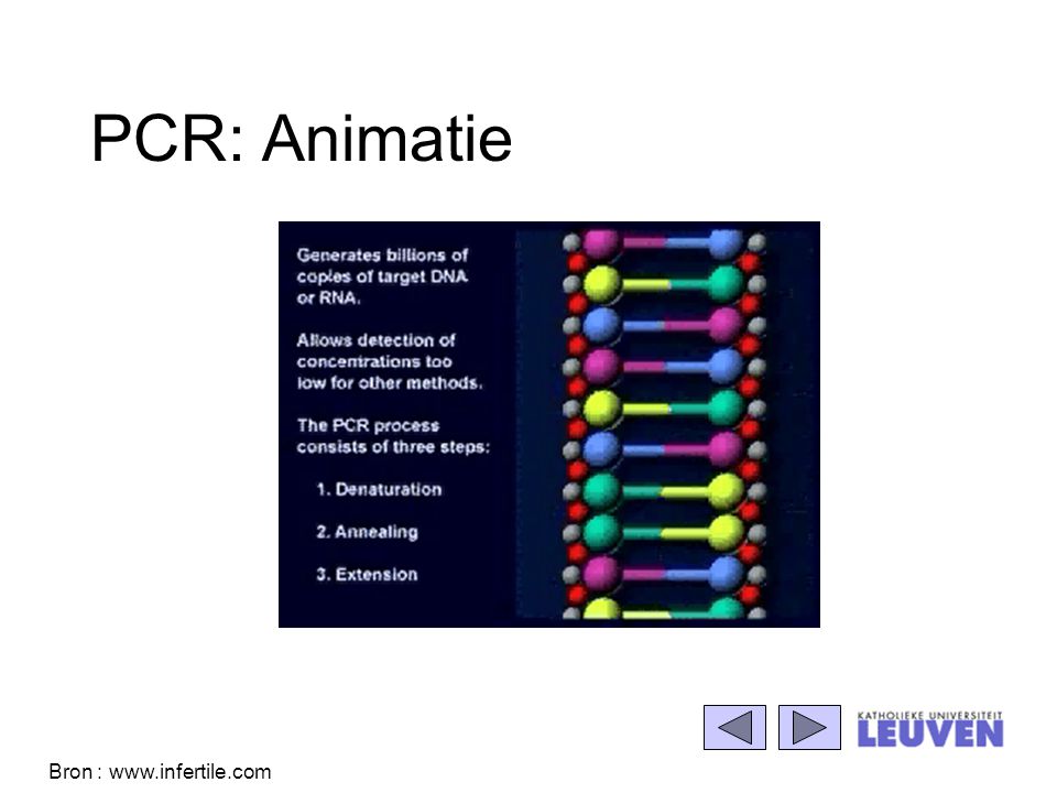 PCR: Animatie Bron :
