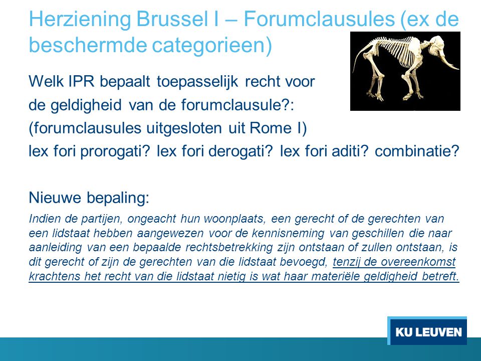 Herziening Brussel I – Forumclausules (ex de beschermde categorieen)