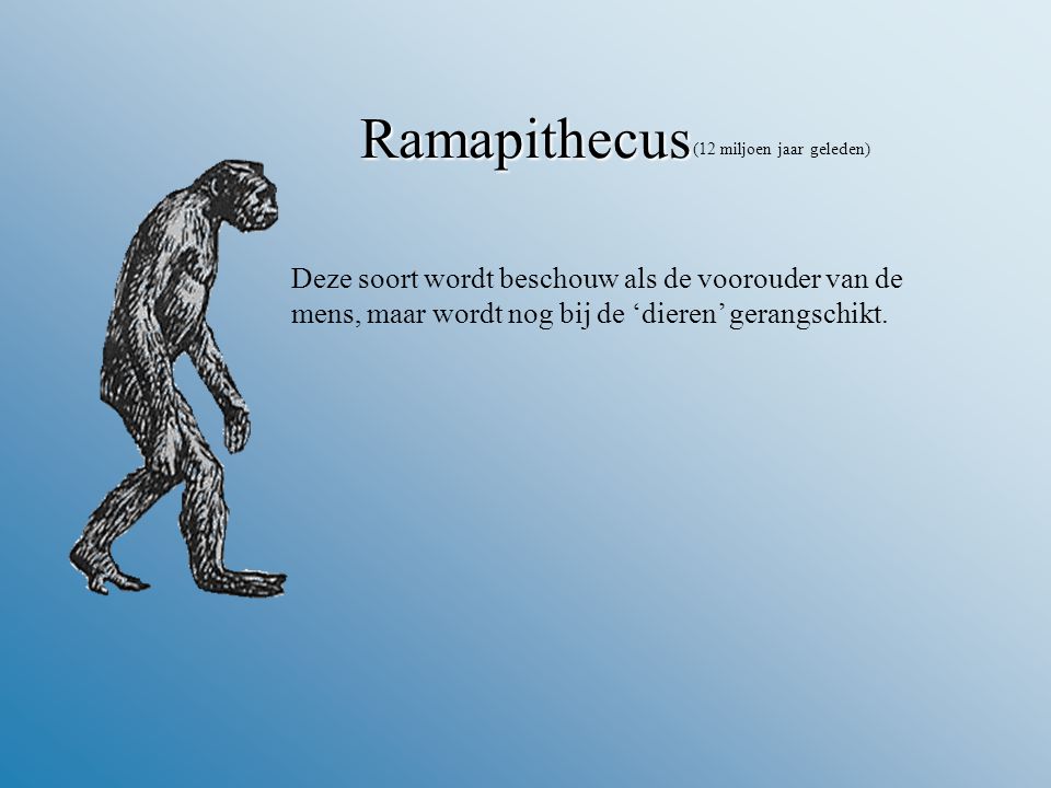 Ramapithecus (12 miljoen jaar geleden) Deze soort wordt beschouw als de voorouder van de mens, maar wordt nog bij de ‘dieren’ gerangschikt.